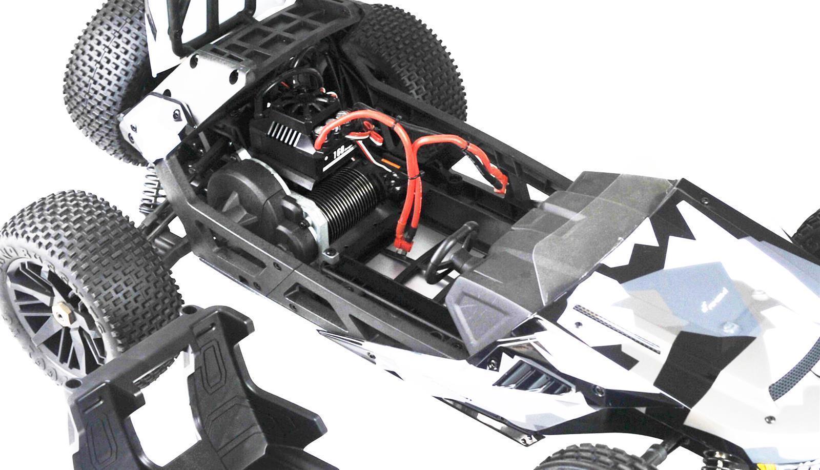 Buggy Hammerhead V2 brushless 2WD 1:6 ARTR